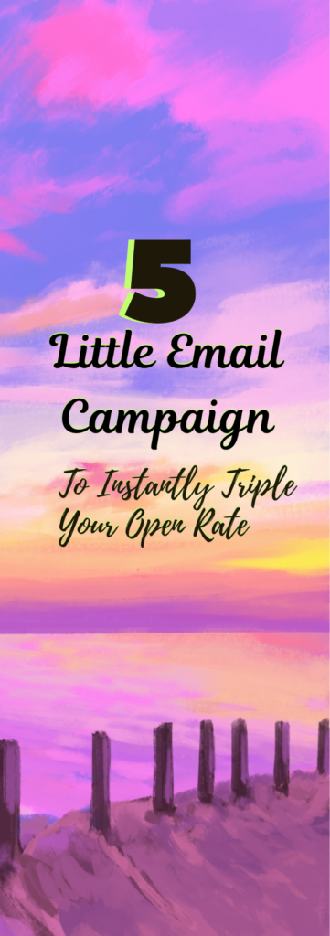 Email Campaign 